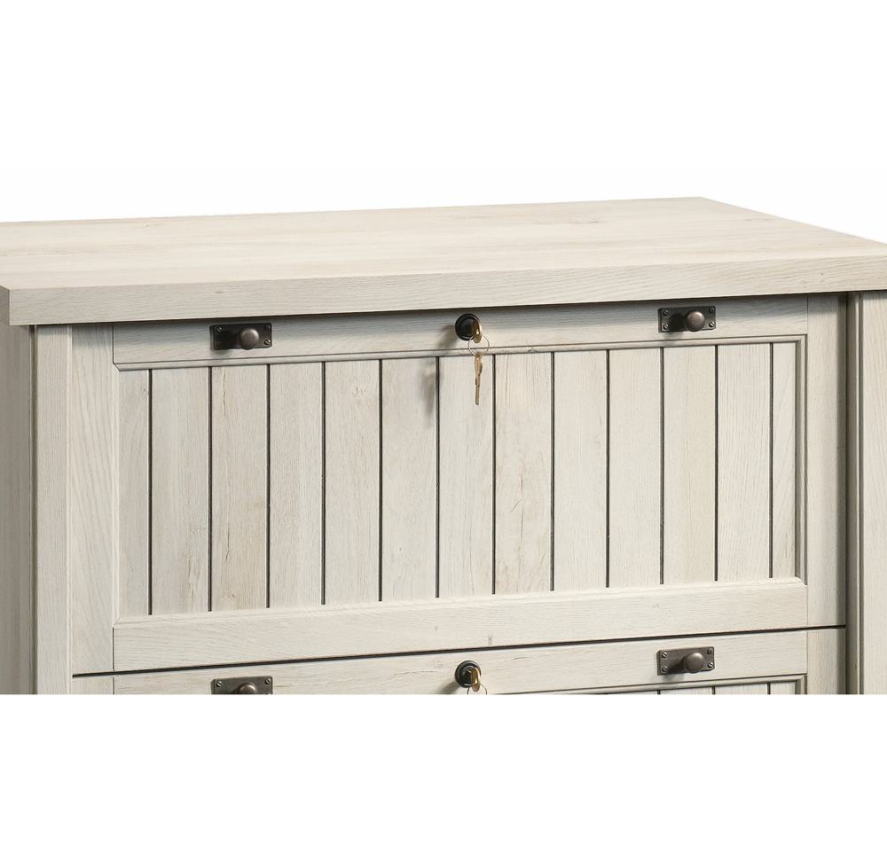 Amazon.com: Sauder Costa 2 Drawer Lateral File Cabinet with Lock